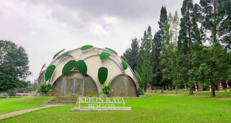 Kebun Raya Bogor, Oase Hijau Penuh Sejarah dengan Keanekaragaman Flora